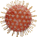 Corona Virus 3D